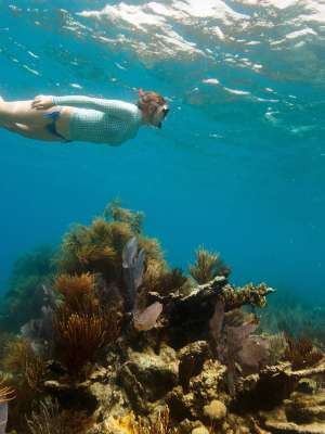 Woman snorkeling